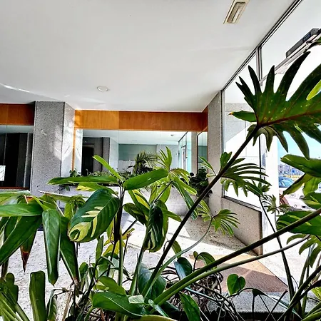 Holibai, Parrulina, Estudio Moderno Con Terracita, *